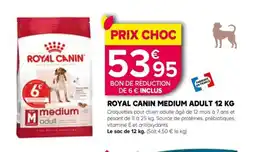 Kiriel ROYAL CANIN Medium adult offre