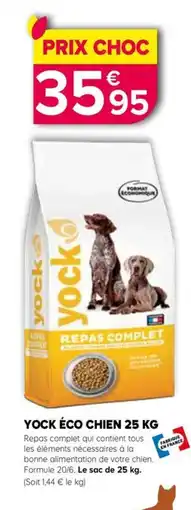 Kiriel Yock éco chien offre