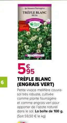 Kiriel Trefle blanc offre