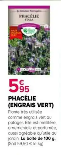 Kiriel Phacélie offre