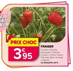 Kiriel Fraisier offre