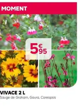 Kiriel Vivace offre