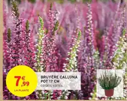 Intermarché Bruyère Calluna offre