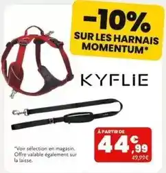 Animalis Sur les harnais momentum offre