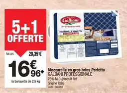 Promocash Galbani - mozzarella en gros brins perfetta professionale offre