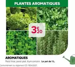Kiriel Persil - aromatiques offre