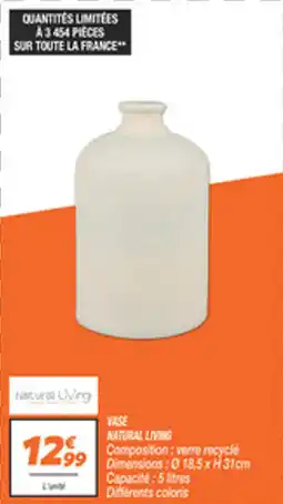 Netto Vase natural living offre