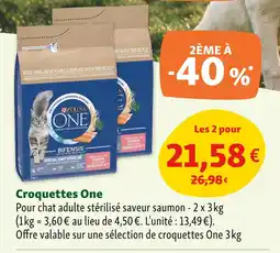 Maxi Zoo Purina One Croquettes offre