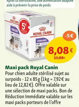 Maxi Zoo Royal Canin Maxi pack offre
