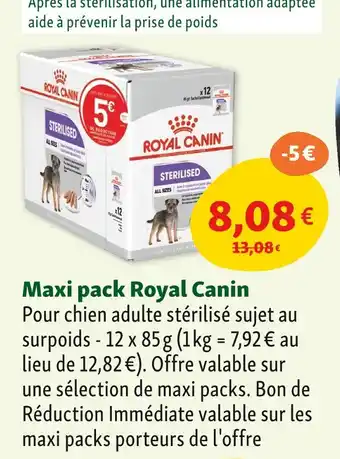 Maxi Zoo Royal Canin Maxi pack offre