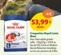 Maxi Zoo ROYAL CANIN Croquettes maxi offre