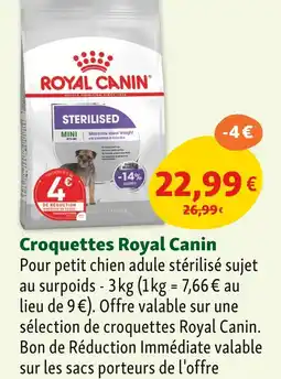 Maxi Zoo ROYAL CANIN Croquettes offre