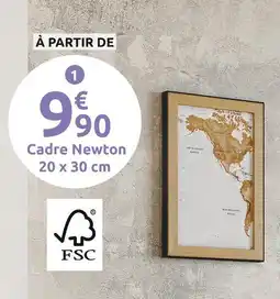 Mr Bricolage Cadre Newton offre
