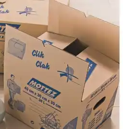 Mr Bricolage Mottez Carton offre