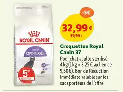 Maxi Zoo Royal Canin Croquettes 37 offre