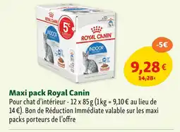 Maxi Zoo Royal Canin Maxi pack offre