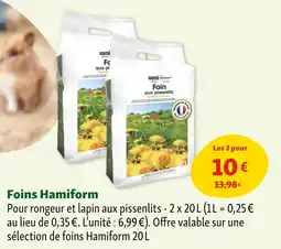 Maxi Zoo HamiForm Foin offre
