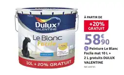 Mr Bricolage DULUX VALENTINE Le Blanc Facile offre