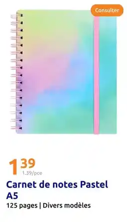 Action Pagès - carnet de notes pastel a5 offre