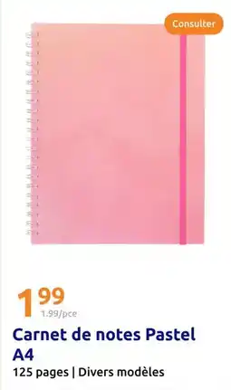 Action Pagès - carnet de notes pastel a4 offre