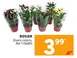 Trafic Rosier offre