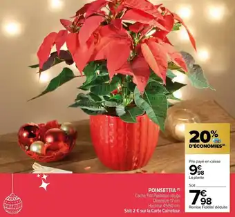 Carrefour Market Poinsettia offre