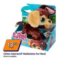 Conforama Total - acondicionador de la montague jamón cocido de sánd la montague offre