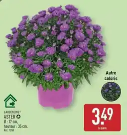 ALDI Aster offre