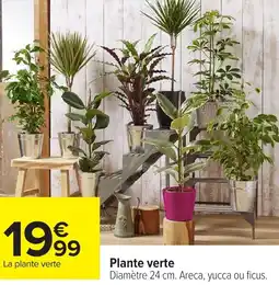 Carrefour Plante verte offre