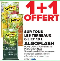 Carrefour Sur tous les terreaux 6 l et 10 l algoflash offre
