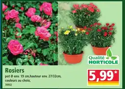 Norma Rosiers offre