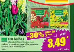 Norma FINEST GARDEN 100 bulbes offre