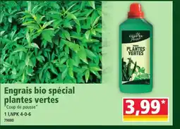 Norma Engrais bio spécial plantes vertes offre