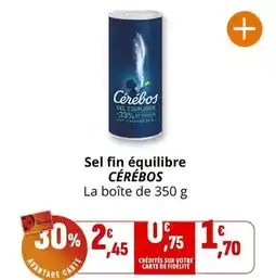 Coccinelle Supermarché Sel fin équilibre offre