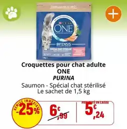 Coccinelle Supermarché Purina - croquettes pour chat adulte one offre