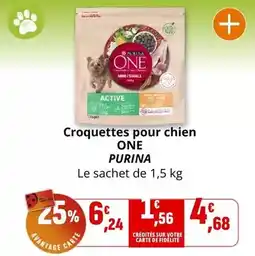 Coccinelle Supermarché Purina - croquettes pour chien one offre