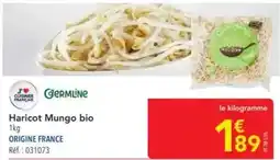 METRO Haricot mungo bio offre