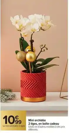 METRO Colona - sauce samouraï offre