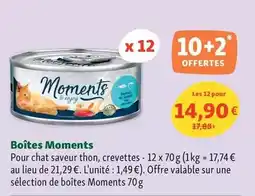 Maxi Zoo Moments - boîtes offre