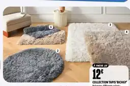 L'incroyable Collection tapis bichgy offre