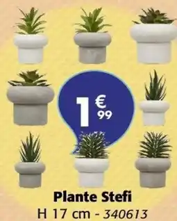 La Foir'Fouille Plante stefi offre