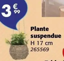 La Foir'Fouille Plante suspendue offre