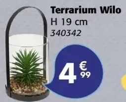 La Foir'Fouille Terrarium wilo offre