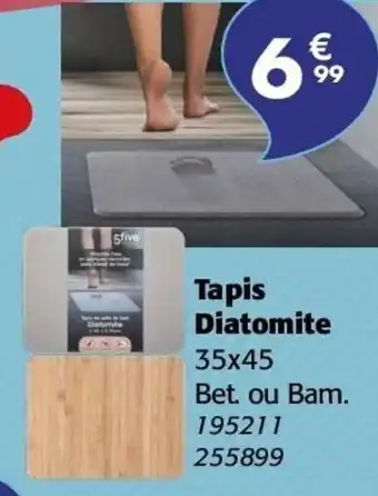 La Foir'Fouille Tapis Diatomite offre