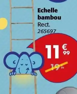 La Foir'Fouille Echelle bambou offre
