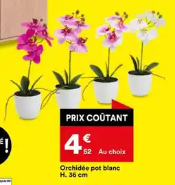 BUT Orchidée pot blanc offre