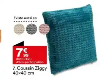 BUT Coussin Ziggy offre