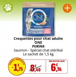Coccimarket ONE PURINA Croquettes pour chat adulte offre