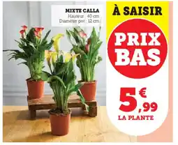 Hyper U Mixte calla offre