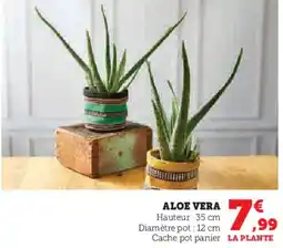 Hyper U Aloe vera offre